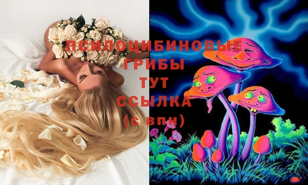 apvp Нея