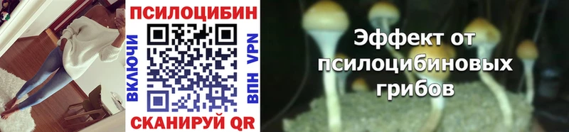 Галлюциногенные грибы Psilocybine cubensis  дарнет шоп  Екатеринбург 